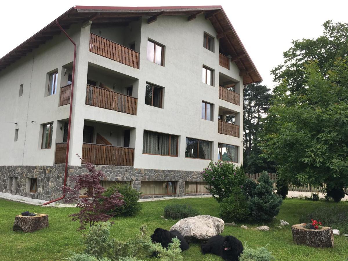 Pensiunea Aron 2 Bran  Exterior photo